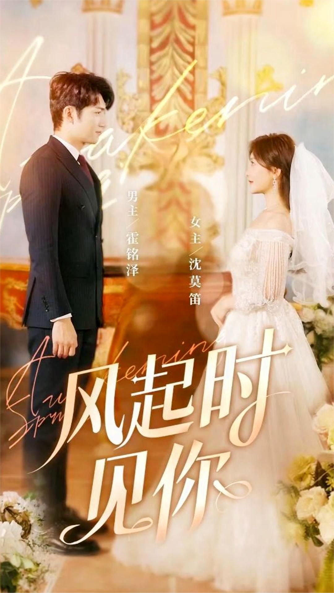 风起时见你全集(大结局)