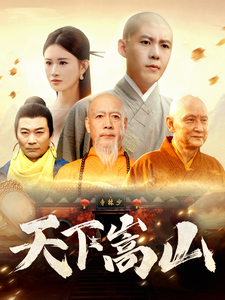 天下嵩山全集(大结局)