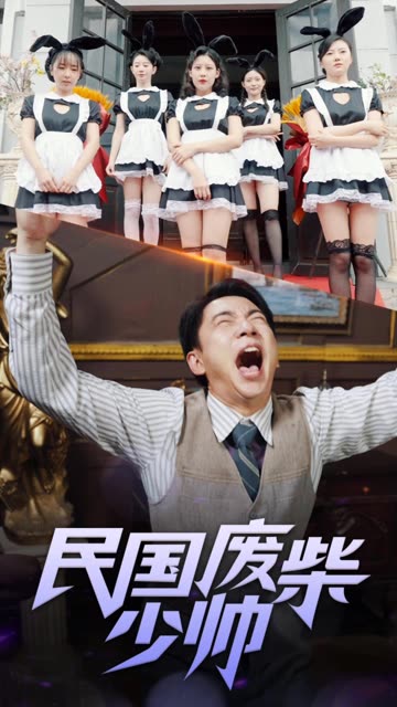 民国废柴少帅全集(大结局)