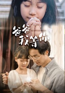 爸爸我等你全集(大结局)