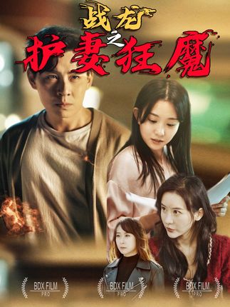 战龙之护妻狂魔全集(大结局)