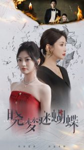 晓梦迷蝴蝶全集(大结局)