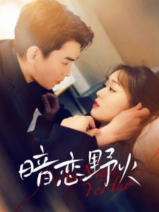 暗恋野火全集(大结局)