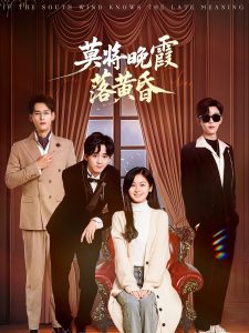 莫将晚霞落黄昏全集(大结局)