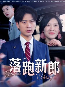 落跑新郎(全集)